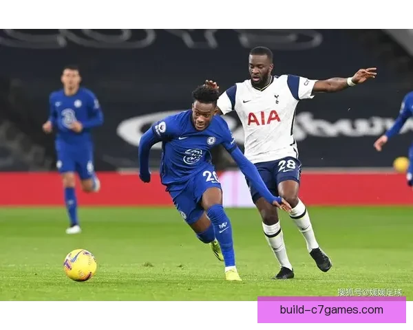 富勒姆足球俱乐部的历史发展与未来展望分析